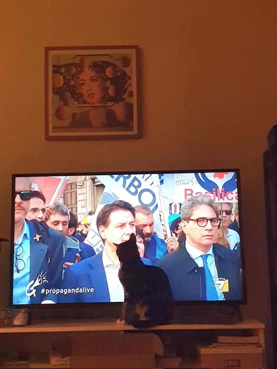 valedixi's tweet photo. Anche Nilde bimba di Conte 💘 💕 #propagandalive @welikeduel https://t.co/3ag7UAwR1t
