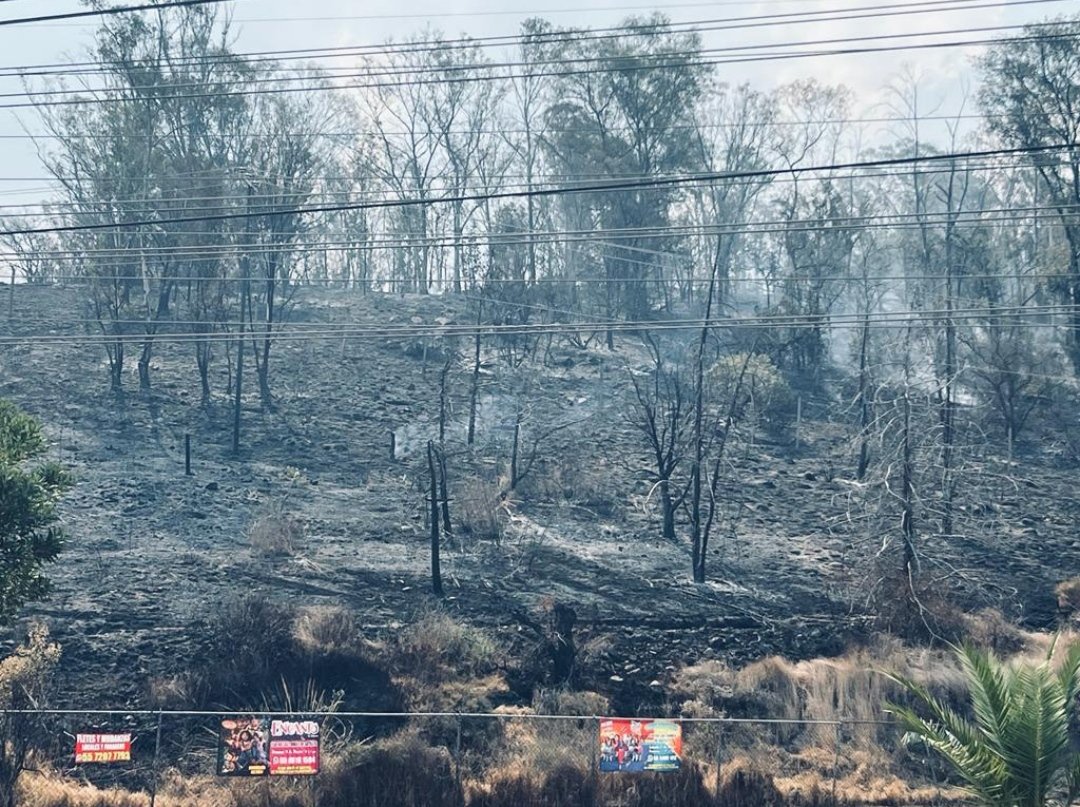 Naucalpan_Libre's tweet photo. Que triste, prácticamente el 50% de nuestro Cerro Moctezuma se quemó, gracias @angiemoyam por tener un programa preventivo para que no ocurran estos desastres, aquí te dejo lo que el @GobNau omitió. https://t.co/s92QAJTBQW