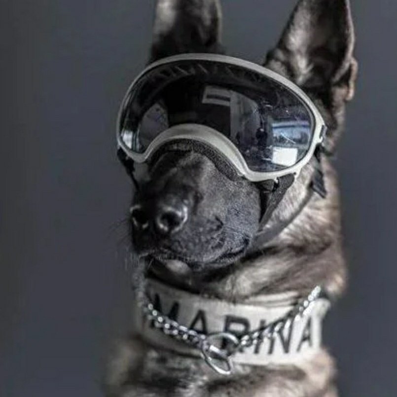 roshiletsgo's tweet image. Never ever give up. You will become a millionaire in crypto if you never ever give up 👊

Keep going 👈💯

#crypto #Bitcoin #Shib #eth