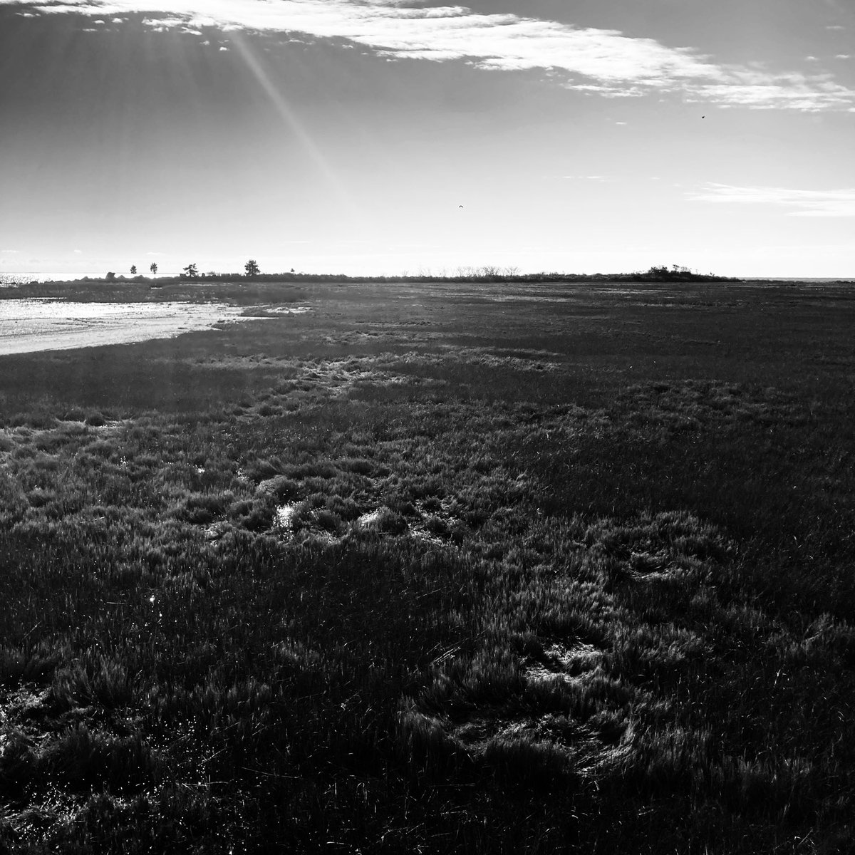 The_Earthmonk's tweet photo. Hammo State Park #ctnaturefans #ctstateparks #sand #sun #fun https://t.co/k8kXhVRzmV