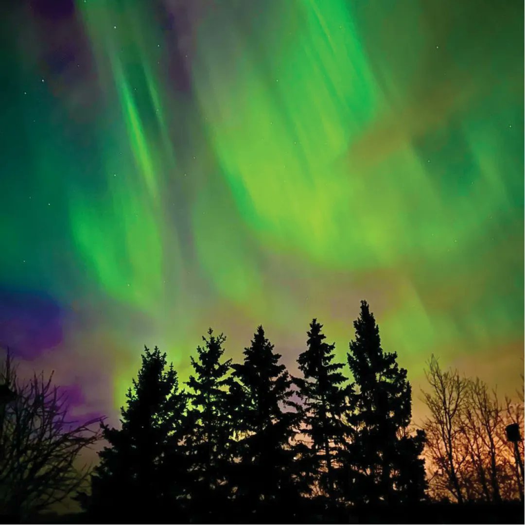 🔭 Captivated by the stunning, dancing waves of light in the Leduc Region! #DiscoverLeducRegion @discoverleduc 
📸 Thanks for capturing + sharing this gorgeous photo @justtryingtobeagreathuman 
#localphotography #northernlights #alberta #explorealberta #localtourism #yeg