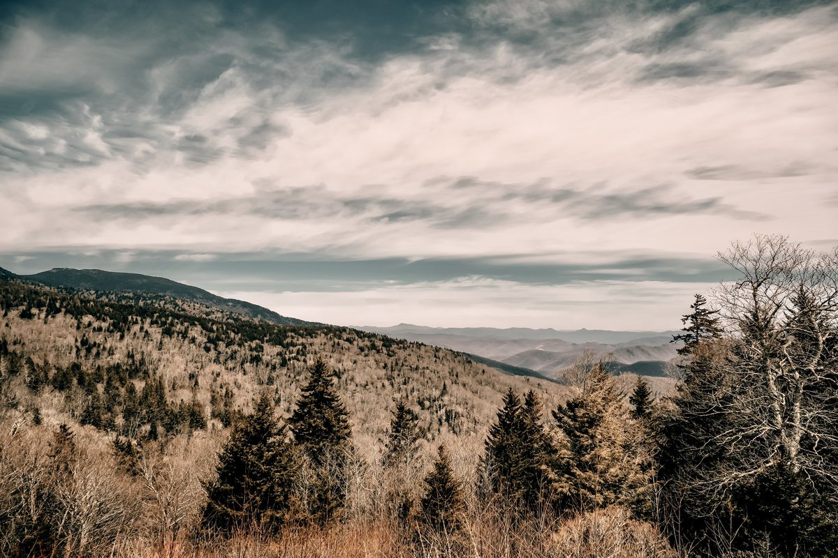 WilledPhotos's tweet photo. 📸 🏔️ https://t.co/31atCuPvOC