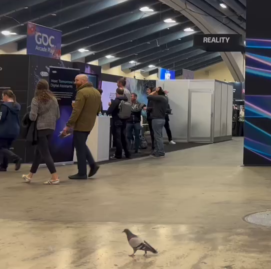 This bird drew the biggest crowd at #GDC

🐦