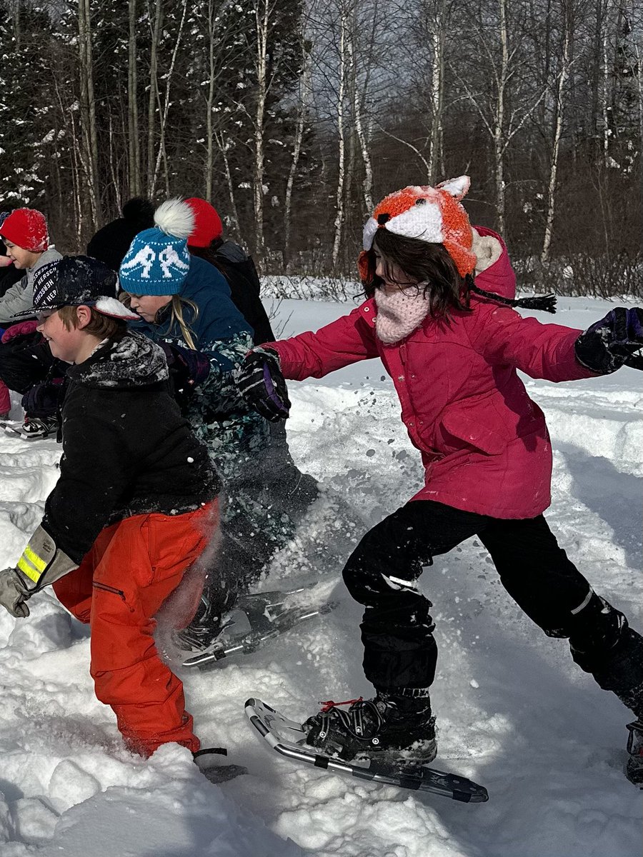 Devon Piwas tweet media