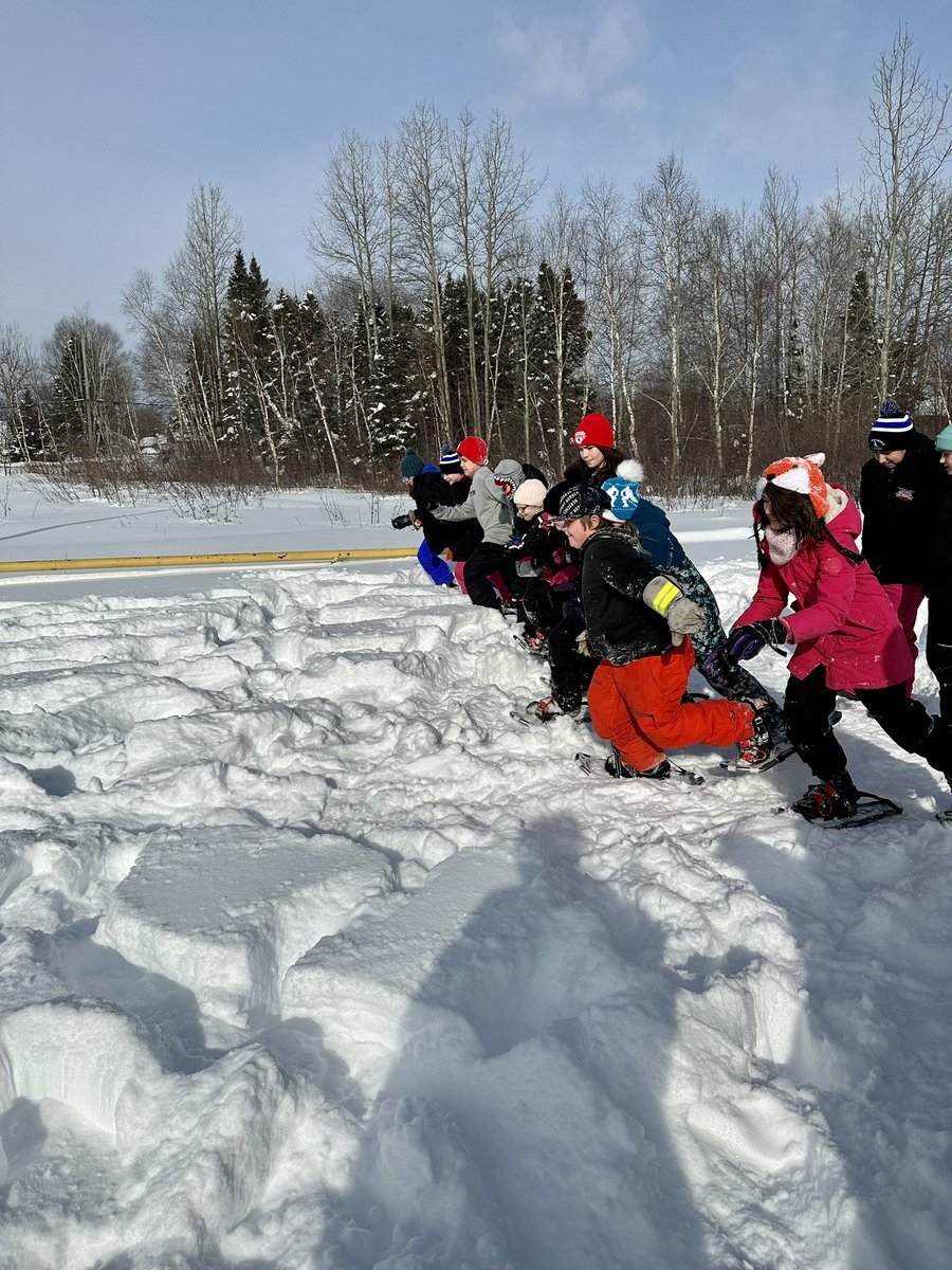 Devon Piwas tweet media