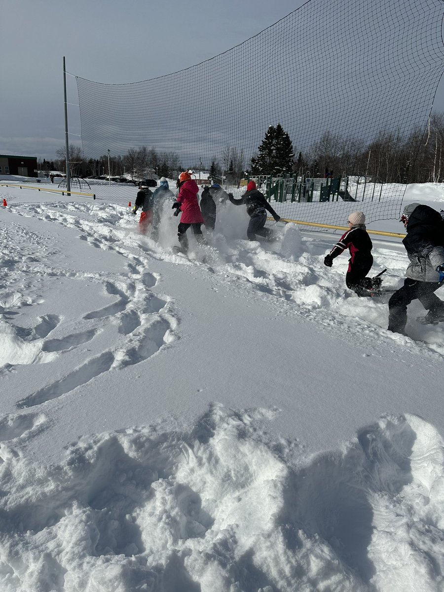 Devon Piwas tweet media