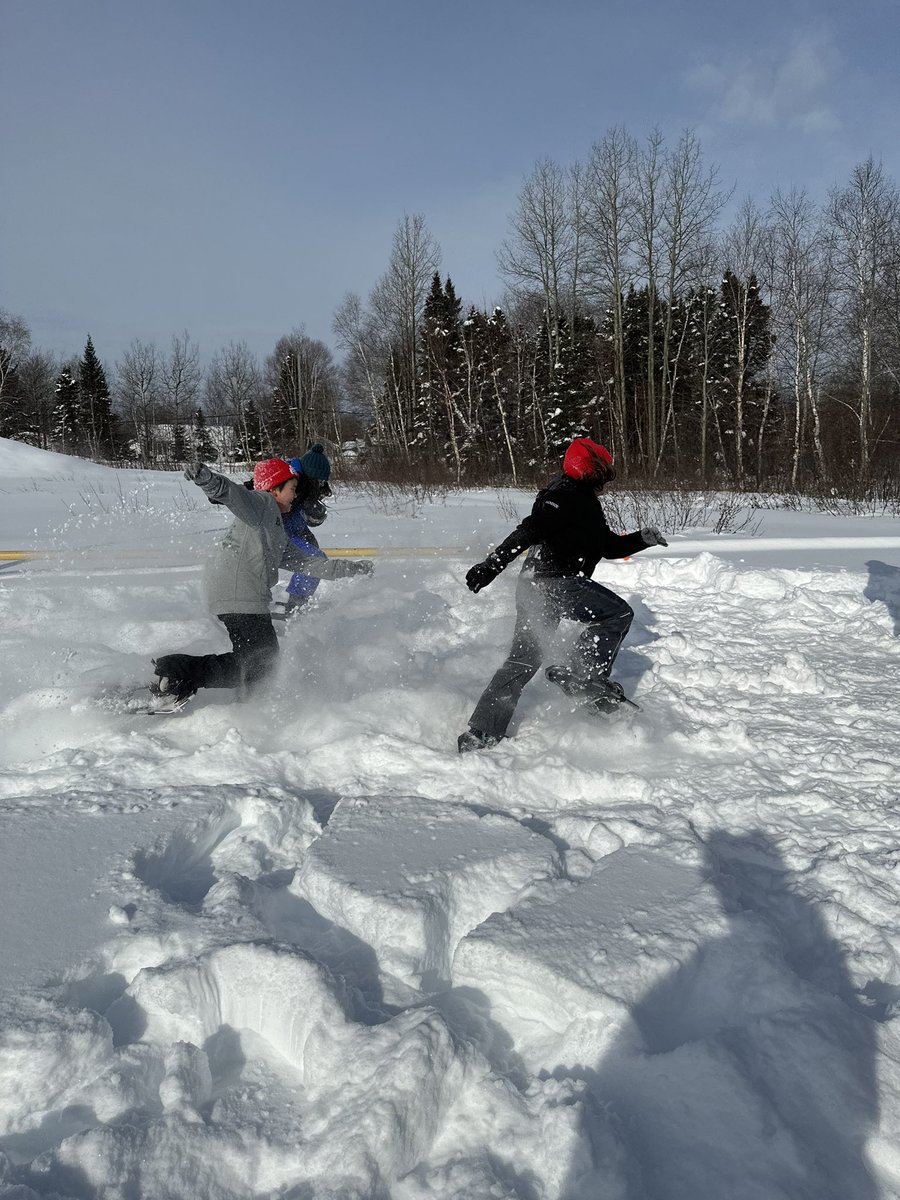 Devon Piwas tweet media