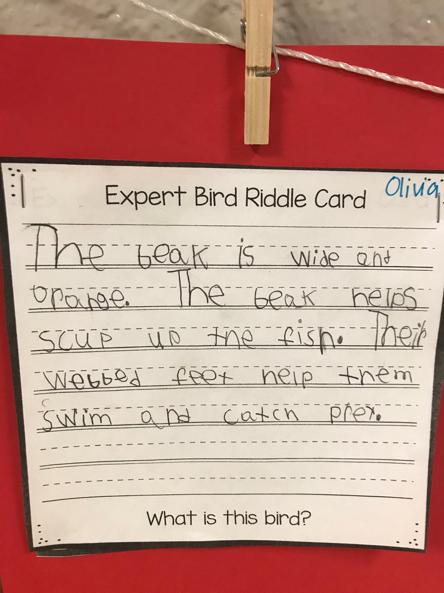 We ended Module 3 with a showcase for parents. We hung students’ bird riddles in the hallway for parent to read a guess which birds we have been learning about. The kids have loved reading them and guessing also! #RCSELACelebrates <a href="/RSELions/">Rock Springs Elementary</a>