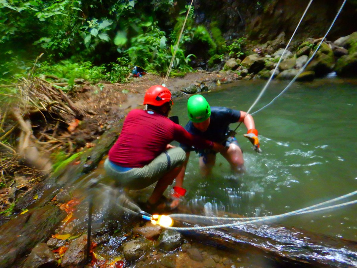 George Secor tweet media