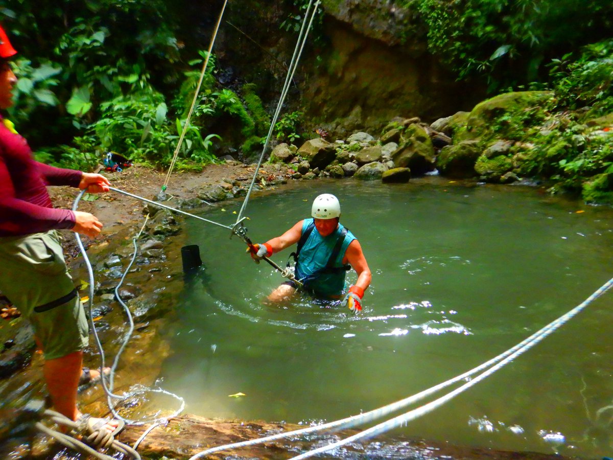 George Secor tweet media