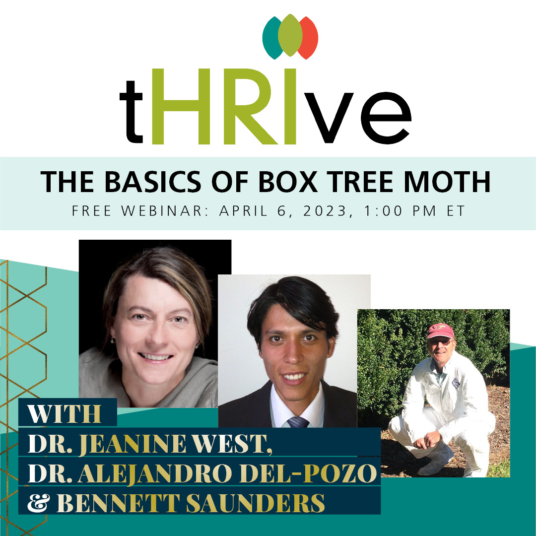 Boxwood producers and boxwood plantings are facing a new threat—the invasion of the box tree moth, an invasive insect from East Asia.

Don't miss this tHRIve webinar on the Basics of Box Tree Moth on April 6.

Save Your Seat: americanhort.co/BoxTreeMothBas…