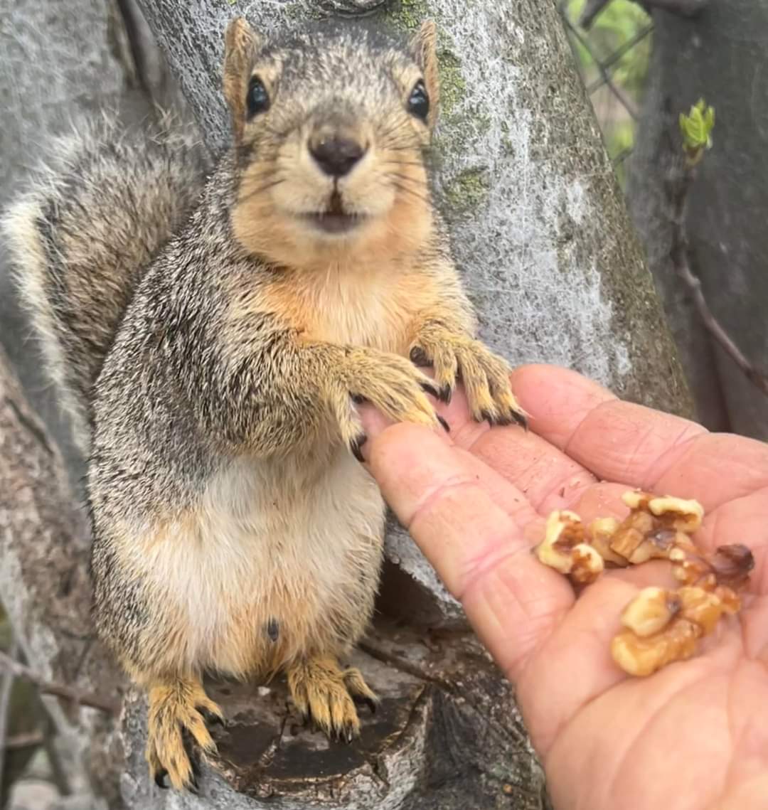My little friend Butterscotch giving me that thank you look.
