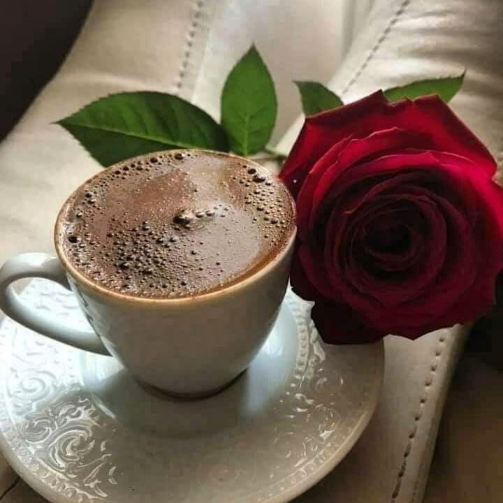 استكنان tweet media