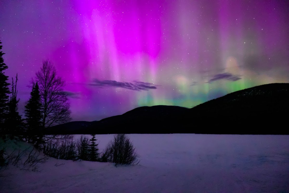 GlobalBC's tweet photo. British Columbians were treated to another spectacular celestial display of dancing Northern Lights Thursday night. 
Here are some of our favourite viewer shots: https://t.co/VURGhNIItu

📷
Jennifer Dawn
Monty Stevens
Brody Carlson
Grant Mattice
#NorthernLights https://t.co/GAwiUyWEqq