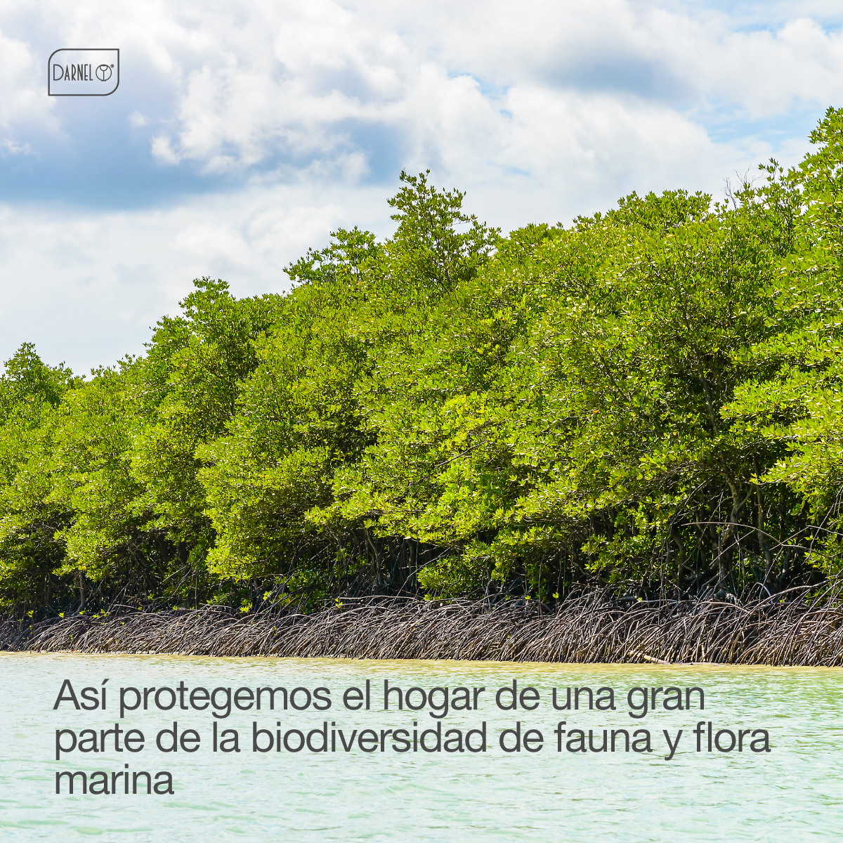 DarnelColombia's tweet photo. ¡Por un planeta más sostenible! https://t.co/bNP2rvKKWH