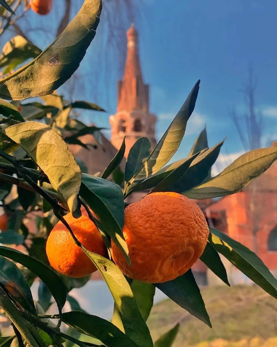 Sausruqo's tweet photo. #Abaza Church of #SaintElijah, the Prophet in #Agudzer, in #Abkhazia โ๐๐ฟ๐ฒ๐ณโ๐ป๐ด๓ ง๓ ข๓ ฅ๓ ฎ๓ ง๓ ฟ๐กโ๐ฐ๐๐โ๏ธโช๐โฐ๐๐ก๐๐ท๐
#ะะฑะฐะทะฐ โ๐๐ฒ
#Abazina โ๐๐ฒ
#Abazinia โ๐๐ฒ
#Apsny โ๐๐ฒ
#ะิฅัะฝั โ๐๐ฒ
#ะิฅัะฝัะาณำัะฝาญาะฐััะฐ โ๐๐ฒ
#ะ ะตัะฟัะฑะปะธะบะฐะะฑั
ะฐะทะธั โ๐๐ฒ
#ะะฐะฒะบะฐะท โ๐๐ฒ
#NorthCaucasus โ๐๐ฒ https://t.co/F8b4sS5TIF