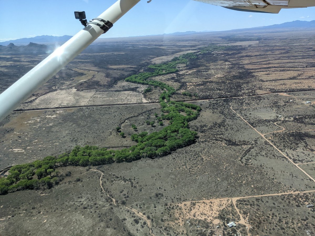 StoriesLandmark's tweet photo. Hello from above! We took to the sky this week with LightHawk Pilot Chuck Schroll to film the San Pedro River. Scroll to see cinematographer Gilbert Rataezyk, sound recordist Angel Marquez, and senior producer Mitch Riley work their magic out on the field! https://t.co/ELP6nFlPSc