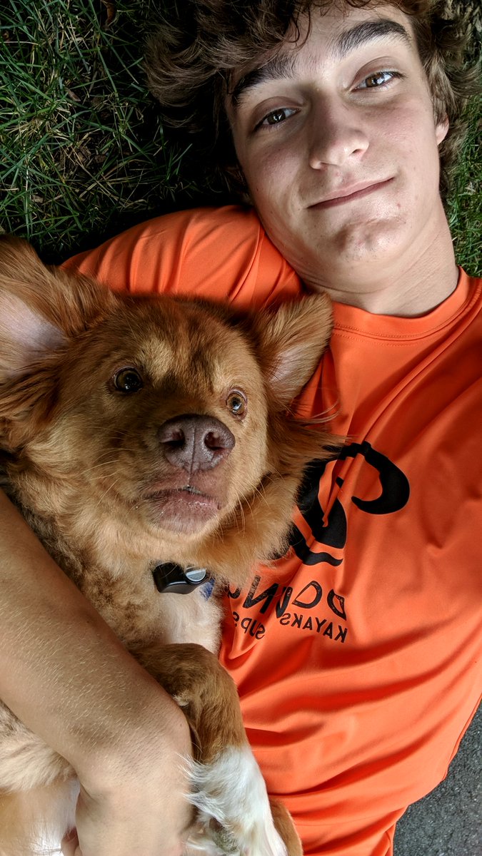 TH_streams's tweet photo. Unfortunately Comet had to enter the land of infinite tennis balls earlier this week. Sadness, but he will be fondly remembered as forever a puppy https://t.co/xcR4B3o5h9