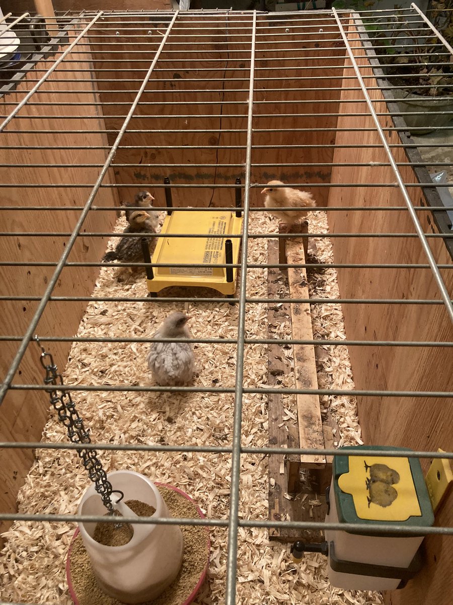 Three weeks later…