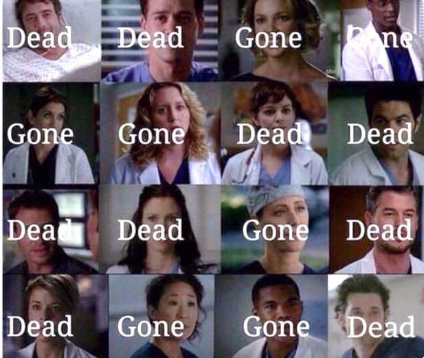 When they gone investigate the hospital???