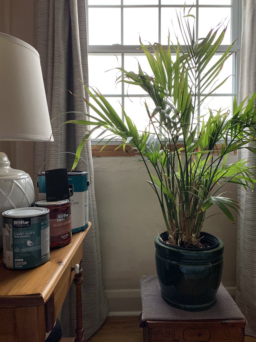 wheaties71's tweet image. Weather outside is frightful… sucker for punishment is delightful….. Saturday inspiration for another week long project! Atleast I’ll be proud of the work once I’m done cursing the process🤣. #imlearning #reno #refresh #inspired #bedroom #home