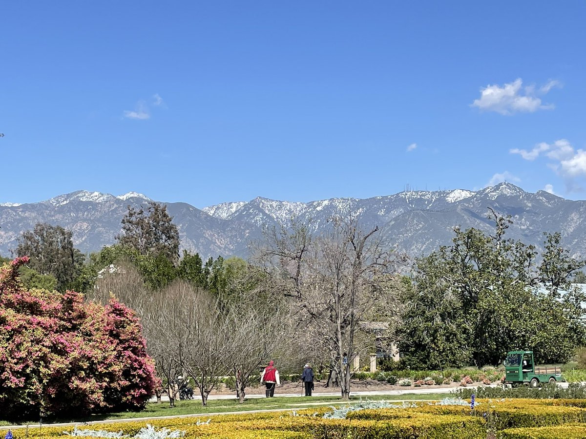 Kim Steadman tweet media