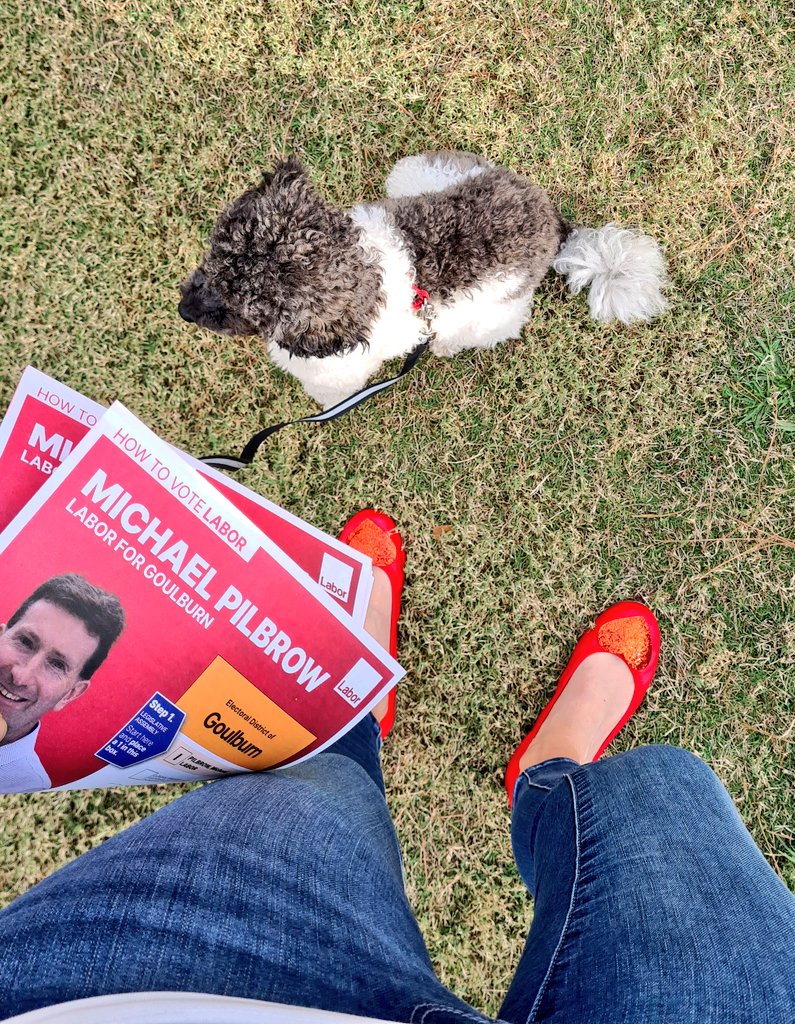_outRAGEjess's tweet photo. Starting off strong with #dogsofpollingstations today for #NSWvotes. 🗳❤️🐕 https://t.co/FrCDWQ8Ml8