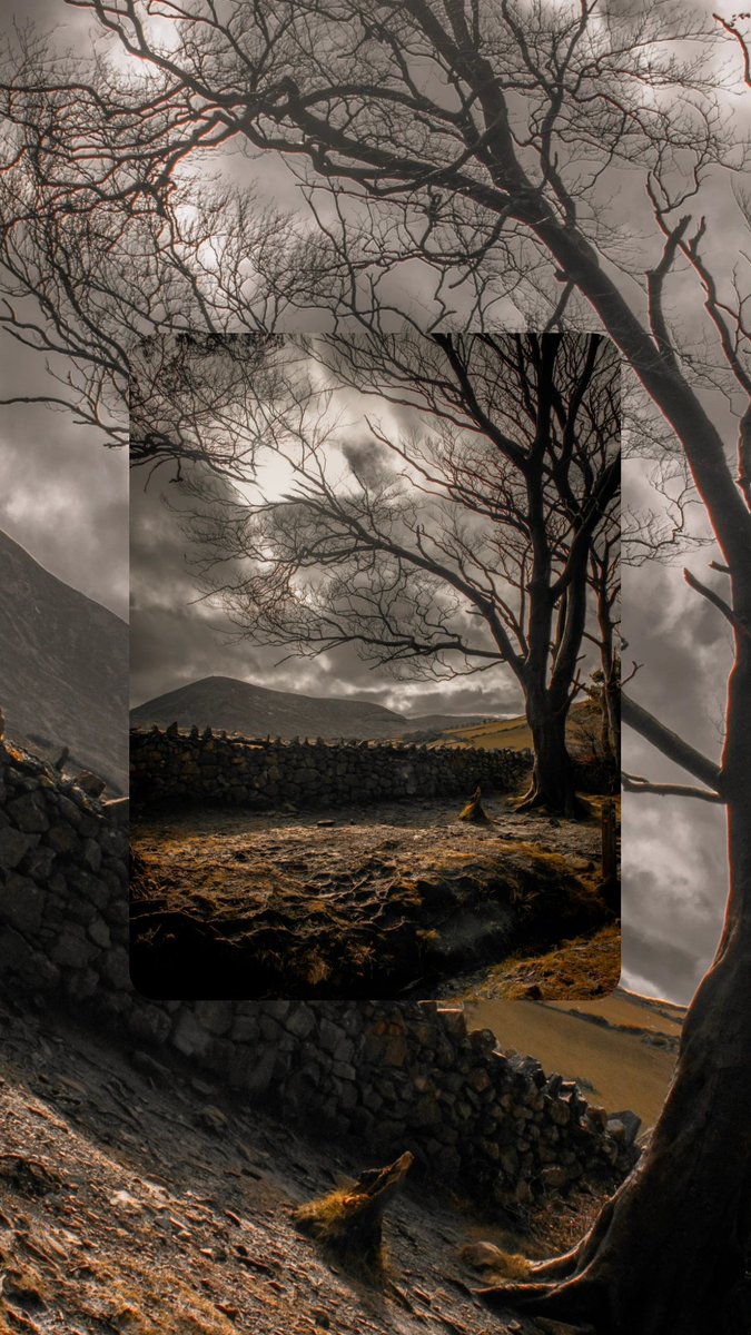 Bobkells's tweet photo. Mourne mountains โฐ๏ธ
#mournemountains #tollymoreforestpark #countydown #northernireland #landscape #mountain #ib4ud #irish #irishphotography https://t.co/PohVmsQJEg