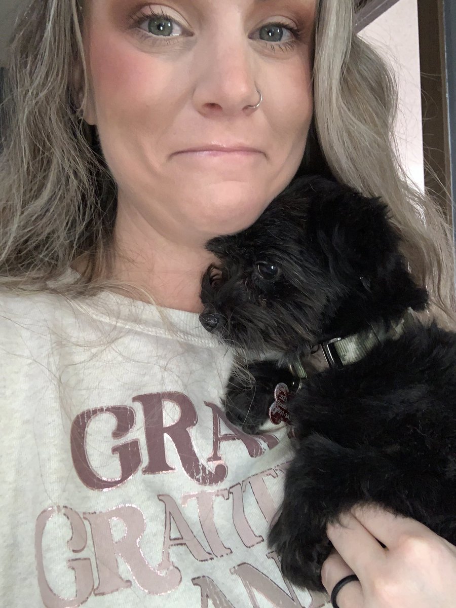 7 days dog sitting - I think I am going to love this little guy!! Hoping the hubby wants a dog again after this!! #dogfamily