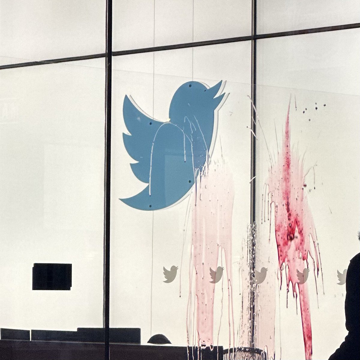 TheCsya's tweet photo. BREAKING: Internet Freedom Protesters have gathered in SF after Twitter suspended hundreds of accounts of journalists, human rights activists, &amp; sitting members of parliament.

Twitter has blood on its hands. 

#PunjabUnderSiege https://t.co/LdQUS3Zg1J