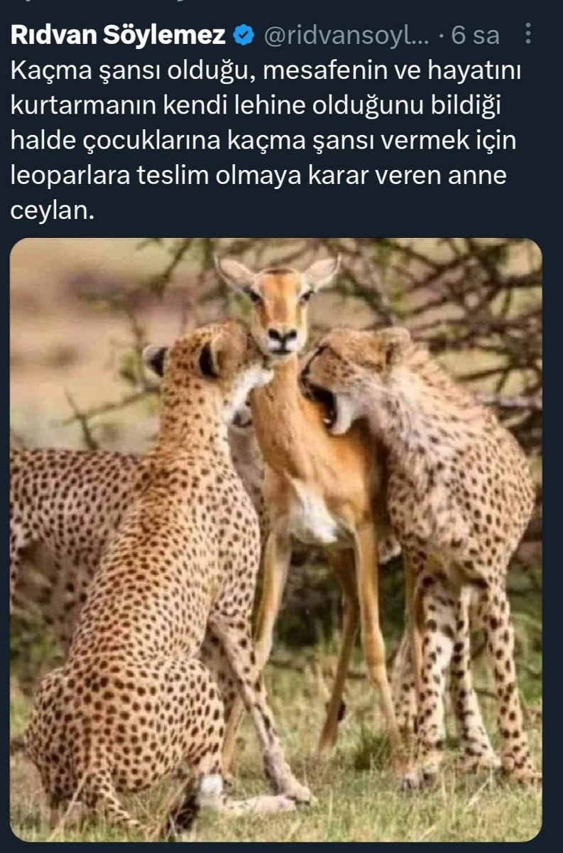 umithhh's tweet photo. @vekilince Genel Başkanım @vekilince
Her okulda olduğu gibi o gün benim oy kullandığım okulda da büyük bir kalabalık oyları takip etmişti.. Bir şeylerin değişmesini çok istemiştik, hala çok istiyoruz. Empatiyi nasıl, hangi açıdan yaptığınız önemli değil ama bir şekilde yapmanız gerekiyor. https://t.co/2iyjO019Ee