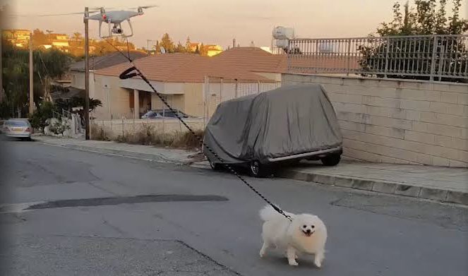 h2o_app's tweet photo. Boy walks with dog 🐶🎮

#Future has come a long time ago #WakeUp https://t.co/UINpD2qRIr