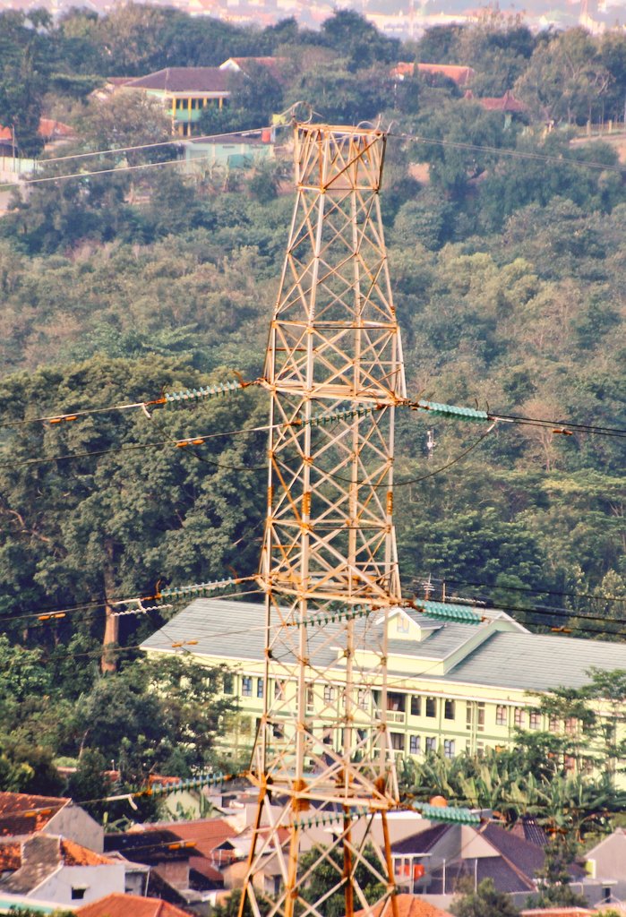 WHATs Power Lines tweet media