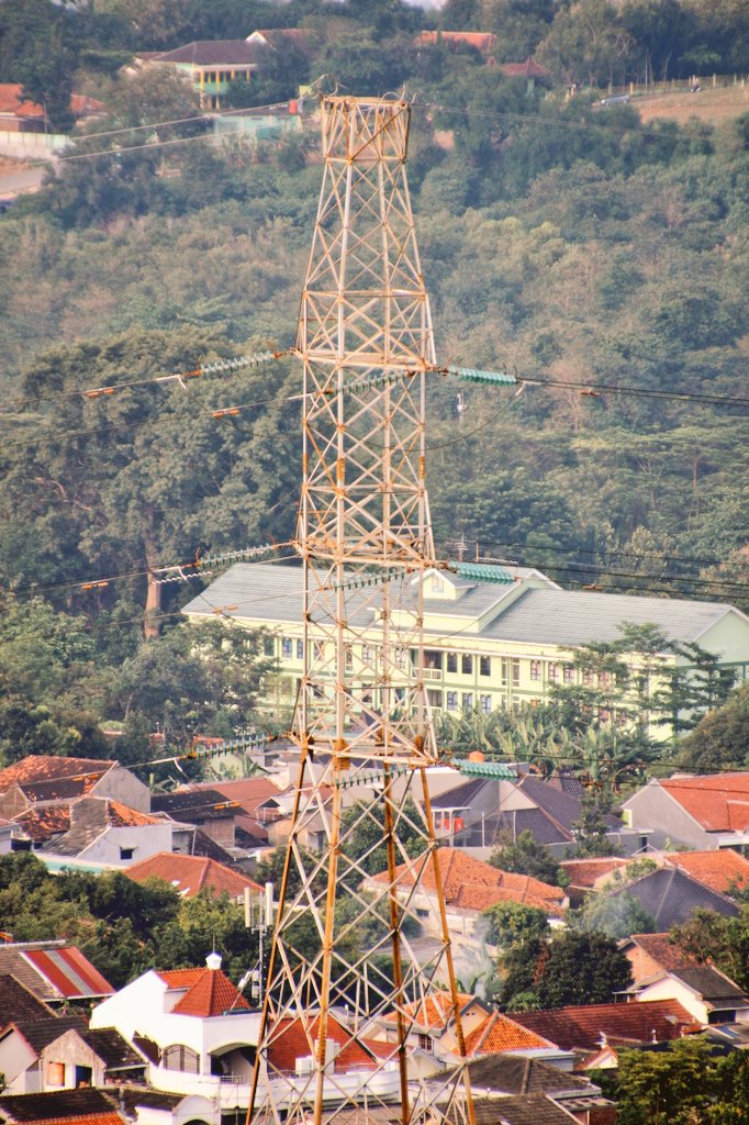 WHATs Power Lines tweet media