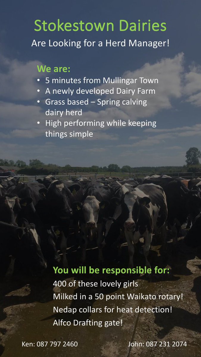 Stokestown Dairies are looking for a herd manager! Please retweet! Thanks.