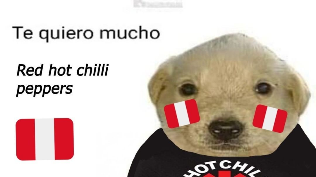 Mayra_Mars's tweet photo. @ChiliPeppers Pleaseeeee!!!🇵🇪🇵🇪🇵🇪 #PeruWantsRHCP https://t.co/Cets4QxPyE