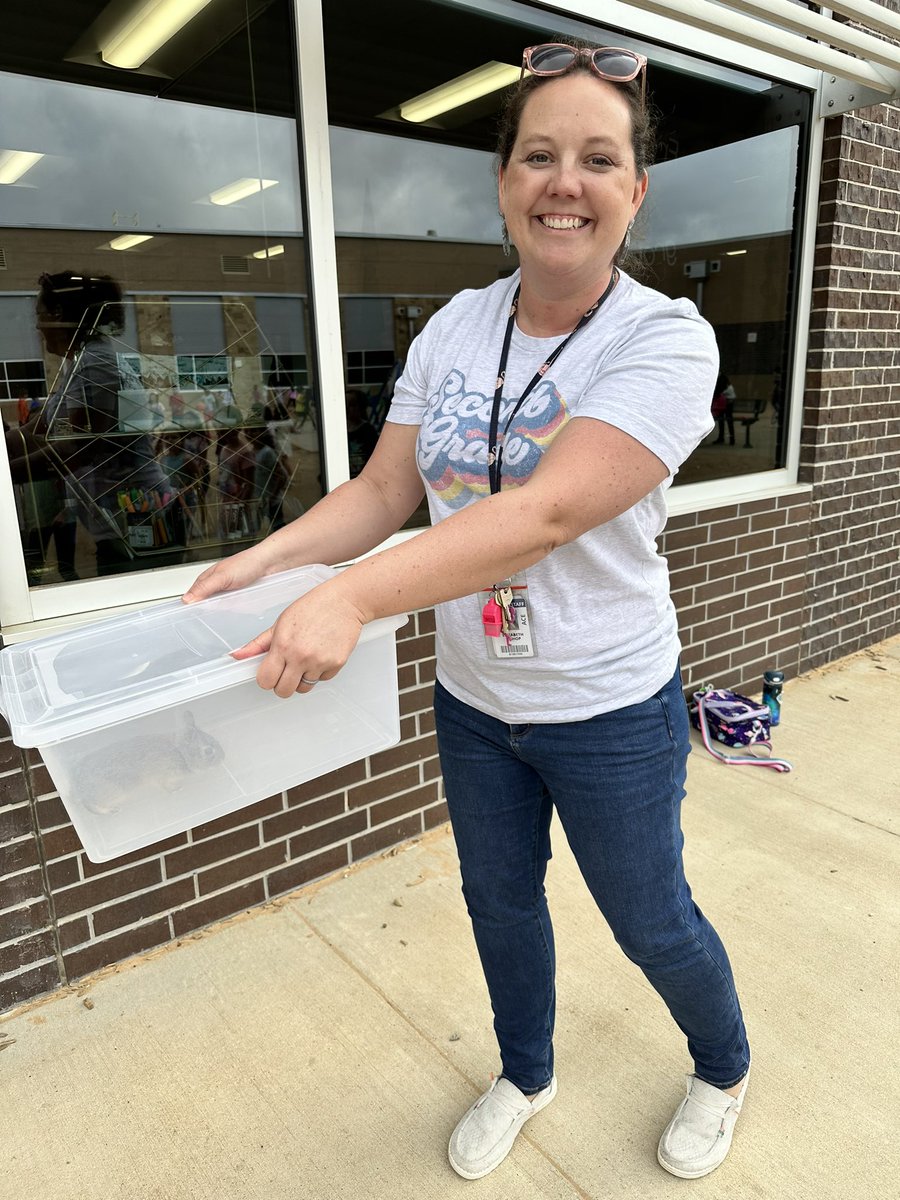 Adding wildlife rescue to my resume! We caught a baby bunny on our playground!