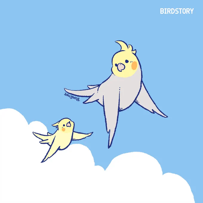 おはようございます。本日は3月25日、語呂合わせから、散歩にゴーの日とのことです#BIRDSTORY #おさんぽ #オカメインコ 
