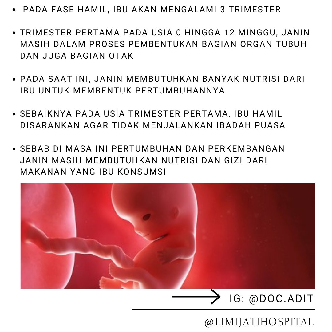 Doc Adit (@adityamk) on Twitter photo 