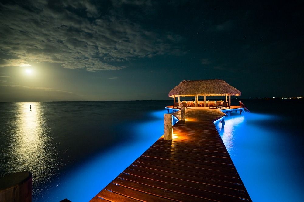 BelizeResortCMV's tweet image. Friday nights at Chabil Mar are simply magical! ✨ Experience the enchanting night views at our beautiful beach resort in Placencia, Belize. Book your stay now and make unforgettable memories. #ChabilMar #MagicalViews #BelizeGetaway