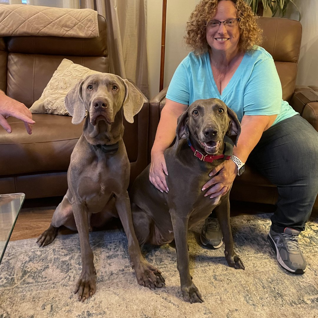 TampaDogTrainer's tweet photo. Take your dog's skills to the next level with our expert trainers and innovative techniques.

Florida Dog Training was hired to work with Mira and Miles to fix behavior problems like jumping and separation anxiety and teach basic commands. We are so proud of their progress and lo https://t.co/XRVOTuWXDH