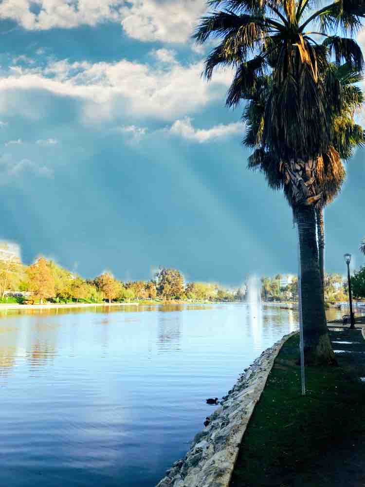 laurajauld's tweet photo. Beside the lake at echo park in Los Angeles #photography #lakepond #landscape #cloudysky #photolight https://t.co/sBqiTQ3ru8