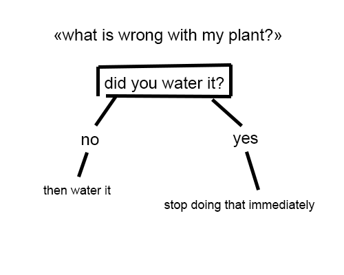 \newcommand{\femb0t}{ (@__femb0t) on Twitter photo 