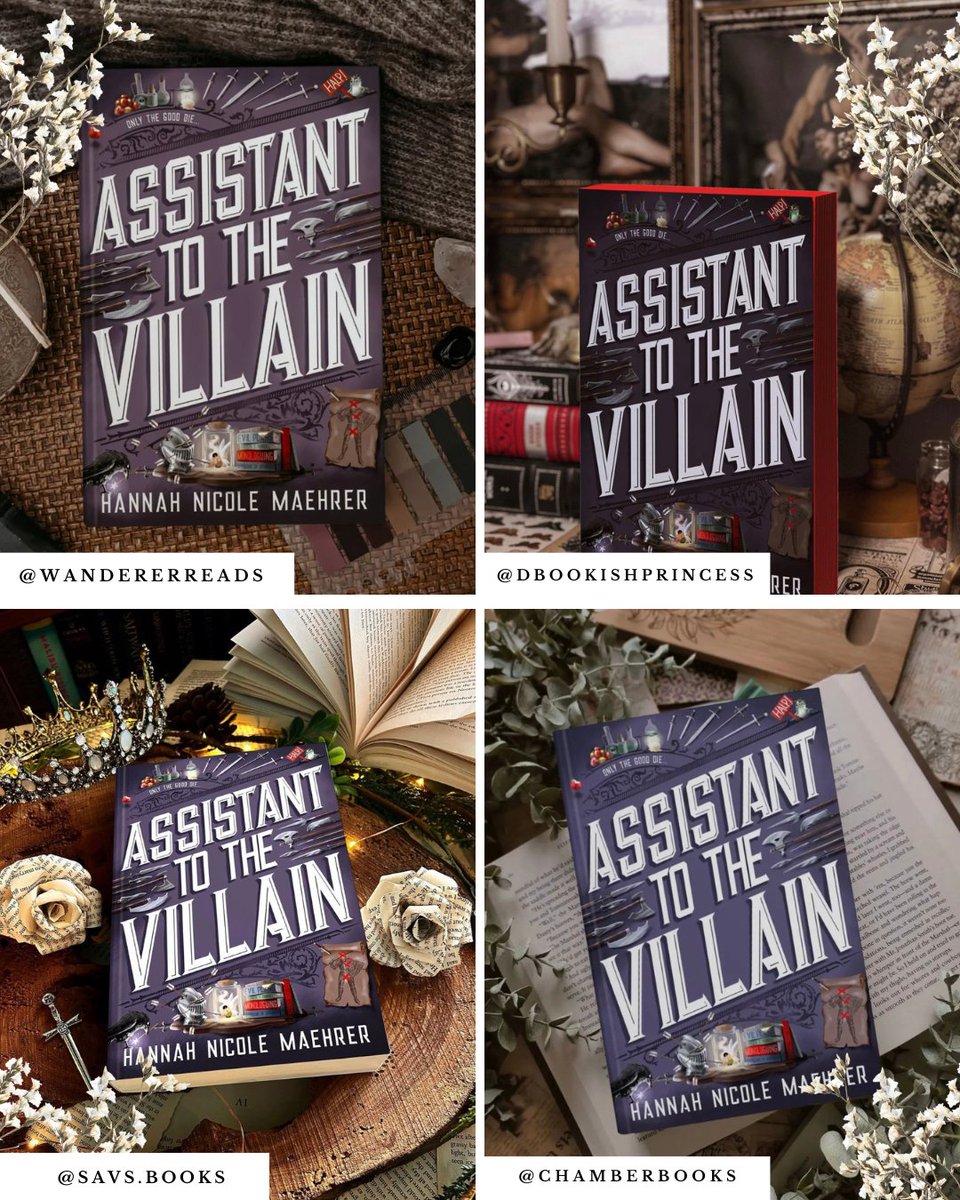 MTMC Tours ✨📚 tweet media