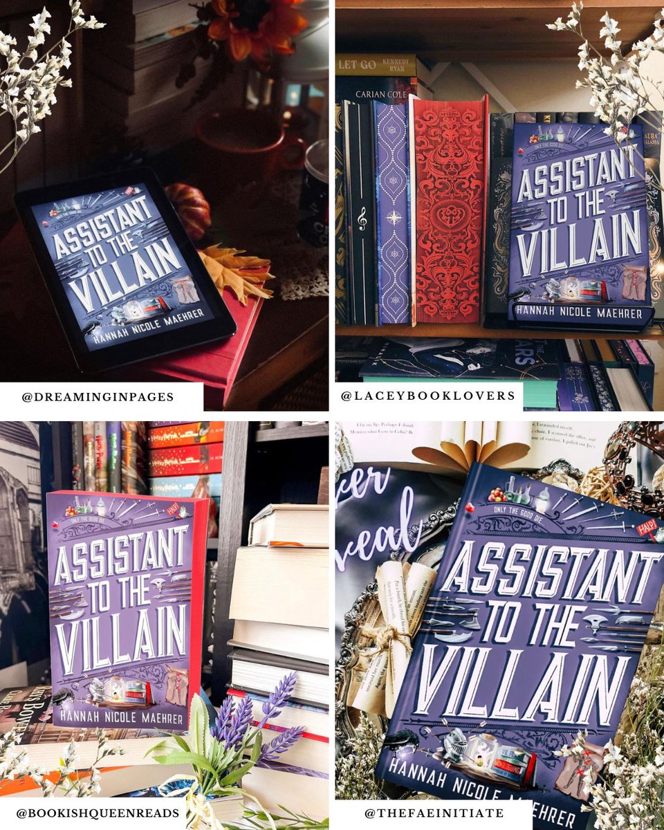 MTMC Tours ✨📚 tweet media