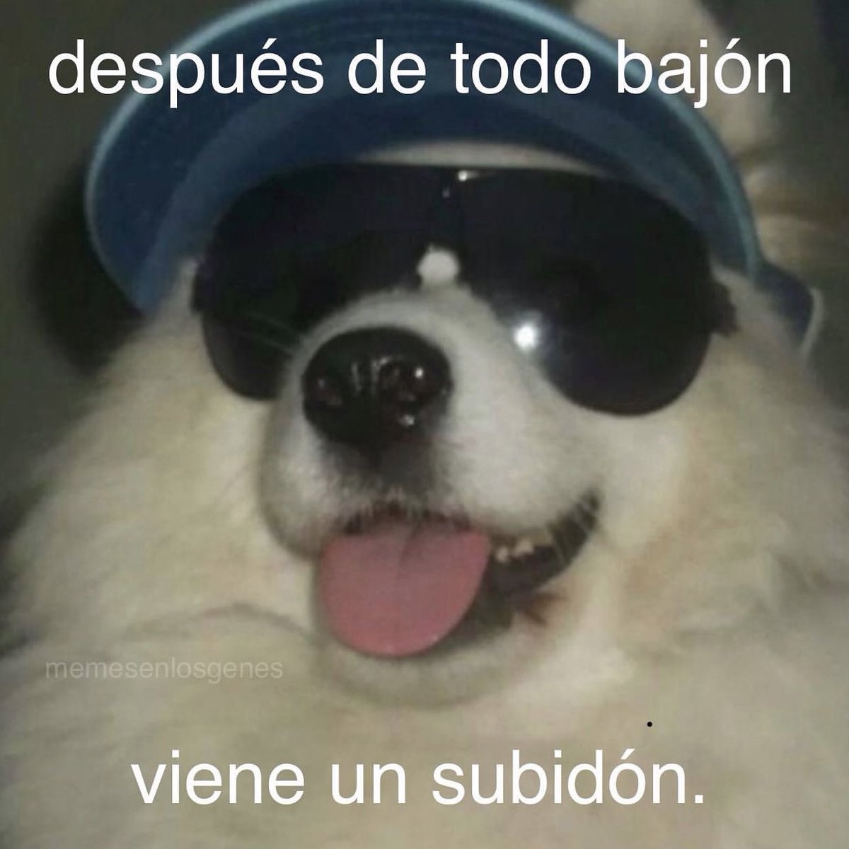 memesenlosgenes's tweet photo. https://t.co/TlkYqleJsY