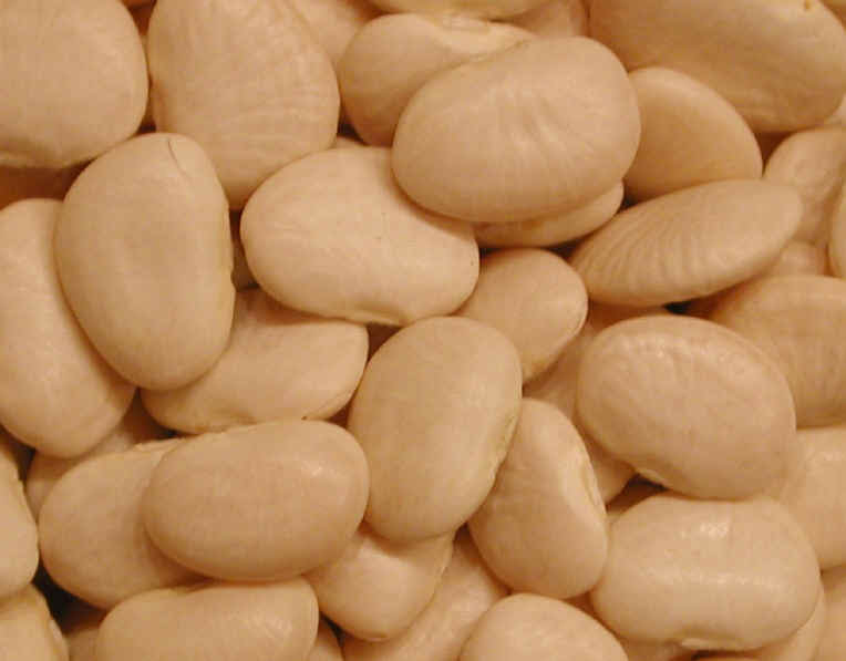 #HealthyFood: #Limabeans (Phaseolus) kylejnorton.blogspot.com/2013/10/health…