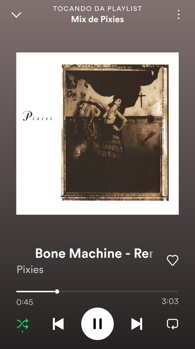 Elisabete Pacheco tweet media