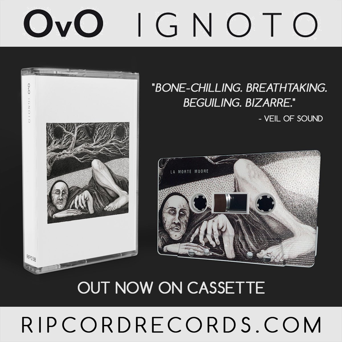 This happened today! Noisy, sludgey, doomy brilliance on limited edition cassette! ripcordrecords.bandcamp.com/album/ignoto #ovo #ignoto #noiserock #sludgemetal #doom #fuckingbrilliant