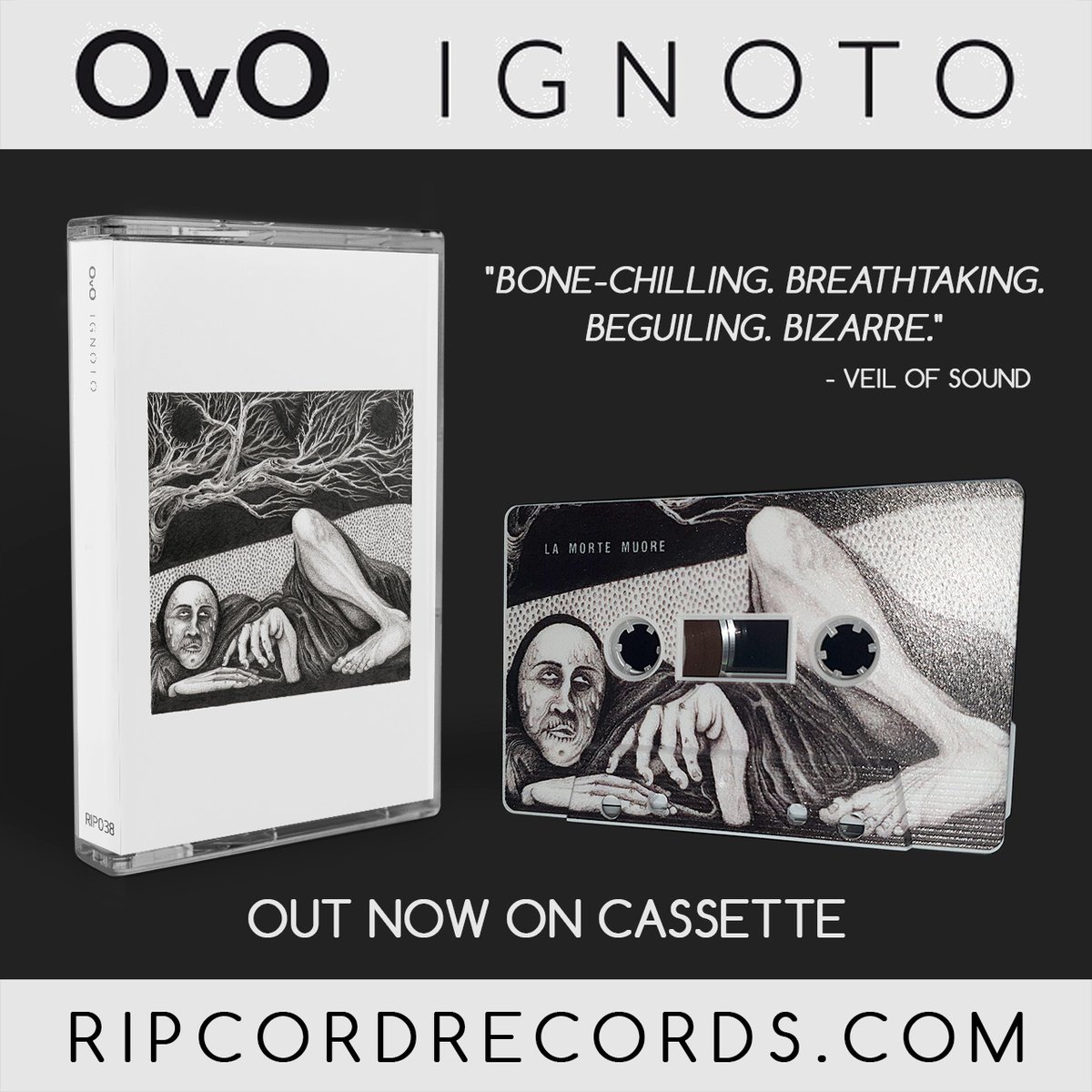 This happened today! Noisy, sludgey, doomy brilliance on limited edition cassette! 
ripcordrecords.bandcamp.com/album/ignoto
#ovo #ignoto #noiserock #sludgemetal #doom #fuckingbrilliant